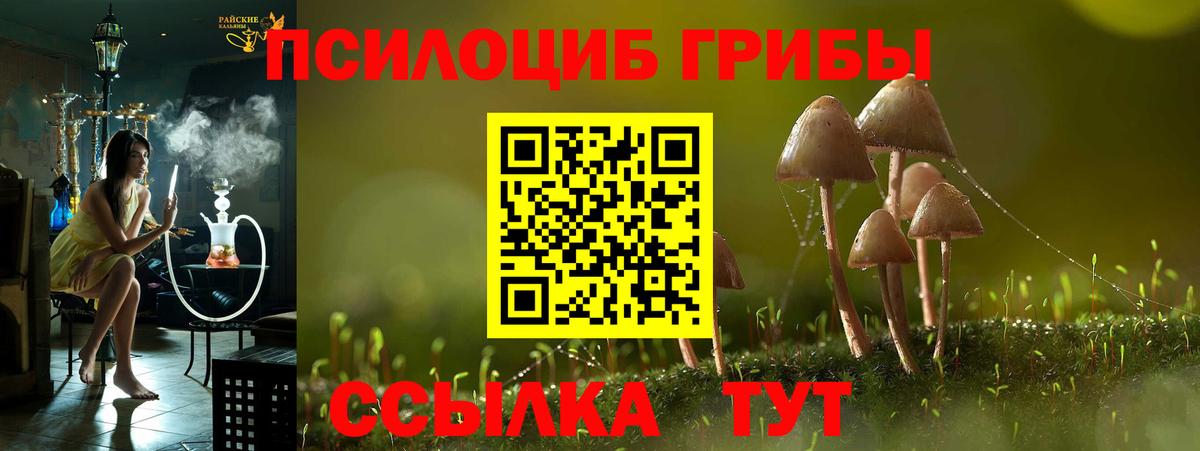 Галлюциногенные грибы Cubensis Кизилюрт